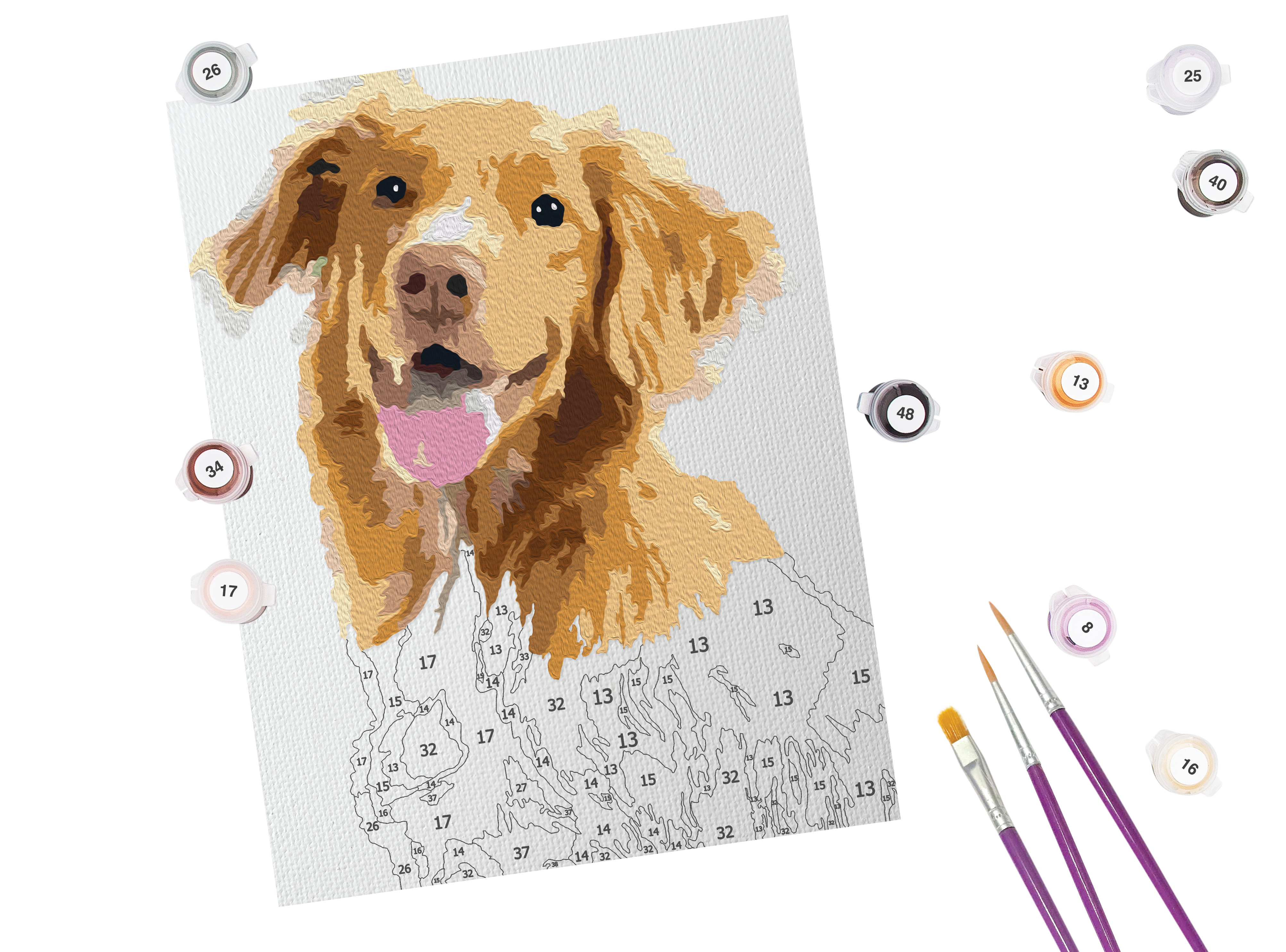 Paint by Numbers for Adults Beginner Dog Adults' Paint-by-Number Kits