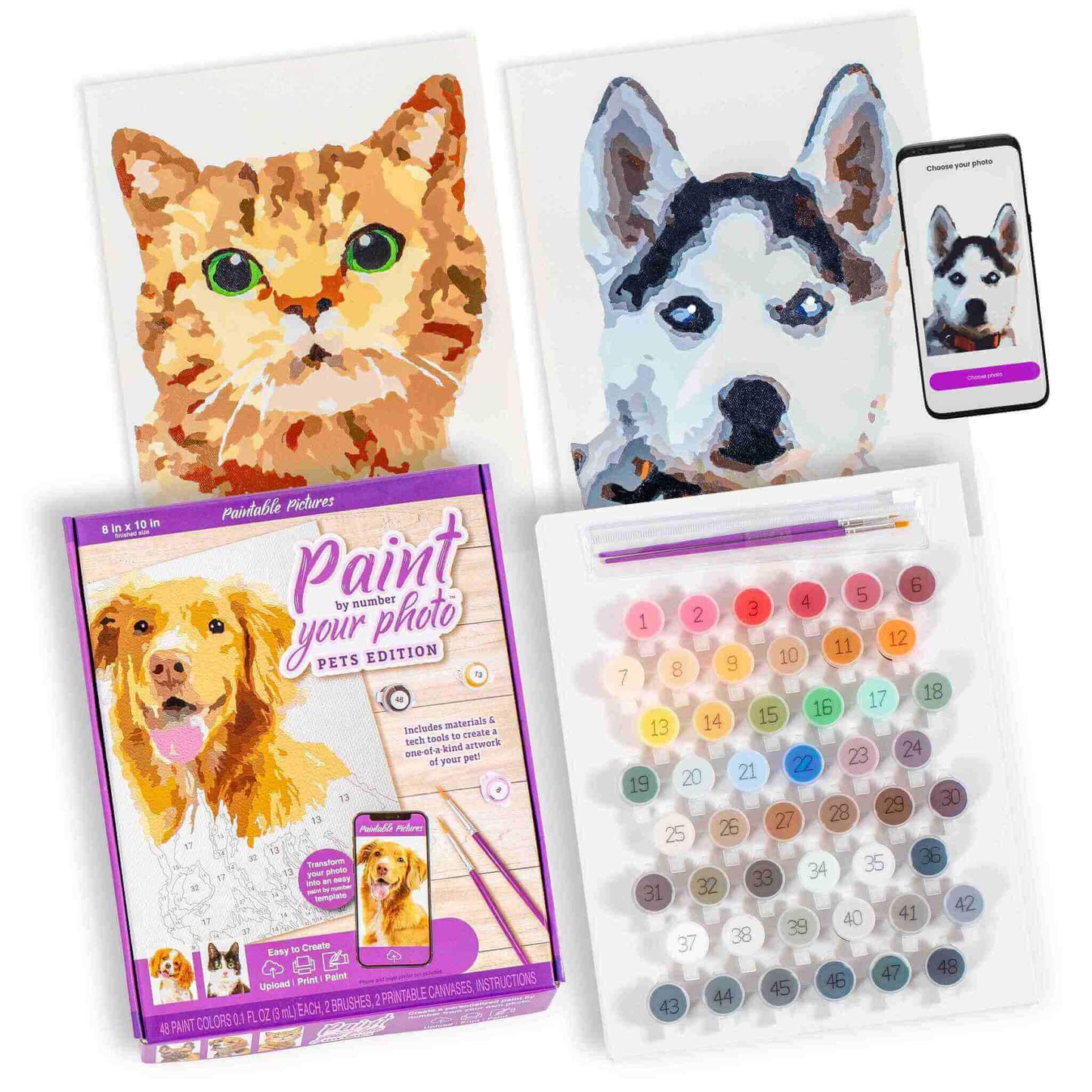 Two finished custom paint-by-number canvases: one of an orange cat with green eyes and another of a white and grey husky dog. Below, a product box titled 'Paint by number your photo: PETS EDITION', highlighting a golden retriever and kit contents. Adjacent is a set of numbered paint pots ranging from pastel to vibrant shades, along with brushes. To the right, a smartphone showcases the husky image with an option to 'Choose your photo'.