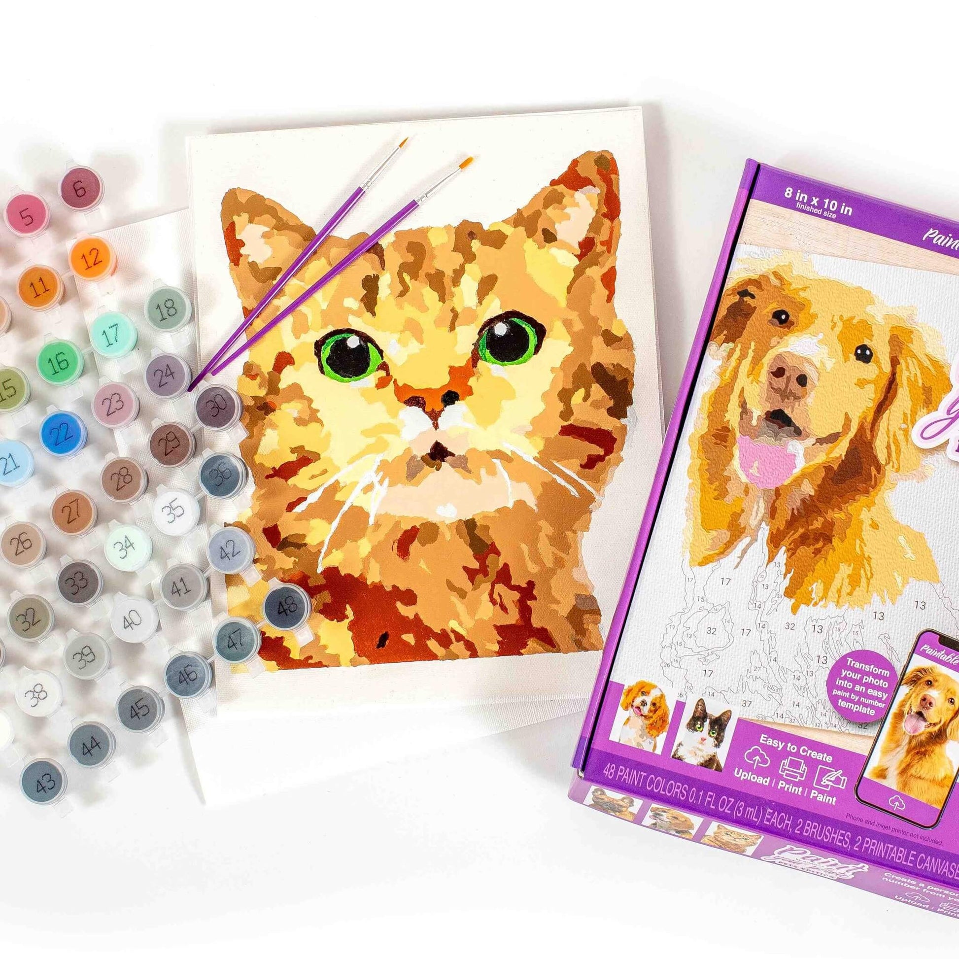 A completed paint-by-number canvas showcasing a vividly colored orange cat with striking green eyes. Beside it, an array of numbered paint pots and two purple brushes. To the right, a product box displays a paint-by-number dog, showing a kit with 48 paint colors and brushes included.