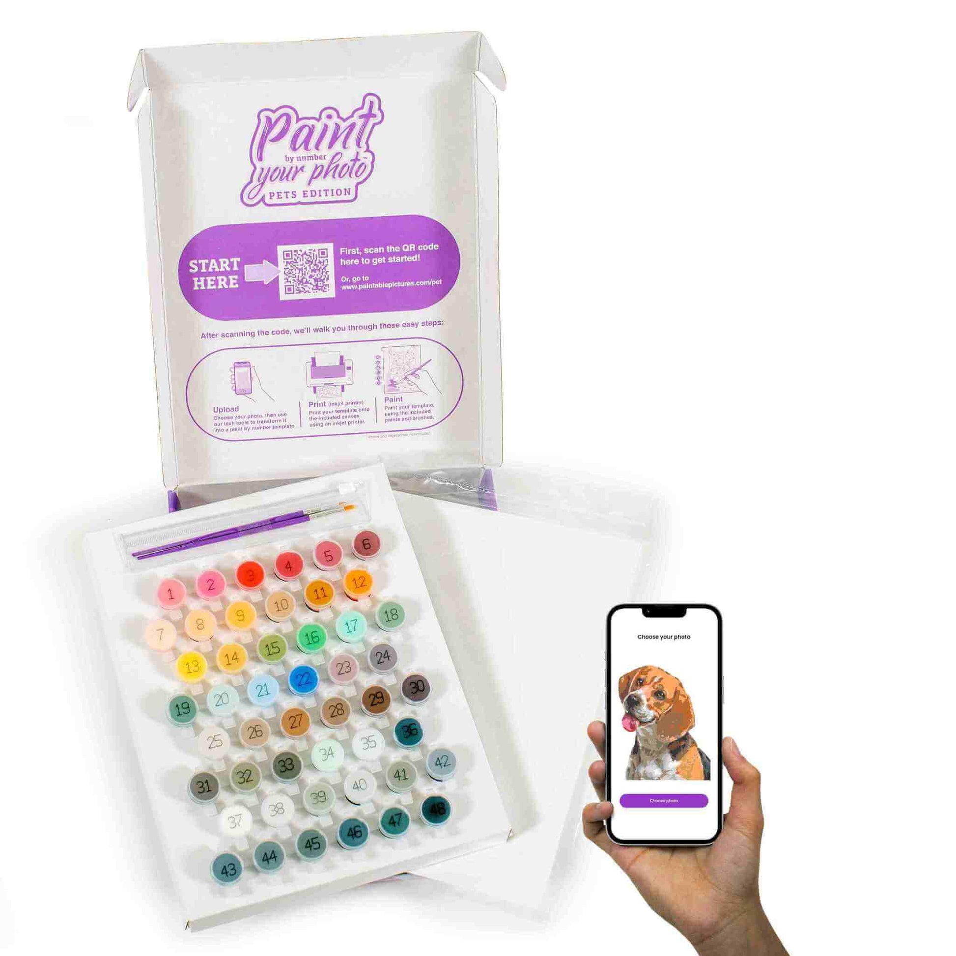 A 'Paint Your Photo: Pets Edition' custom paint by number kit, showing an open box with printed instructions and a QR code. Inside, there's a palette of numbered paint pots, brushes, and a smartphone displaying a pet photo ready to be painted.