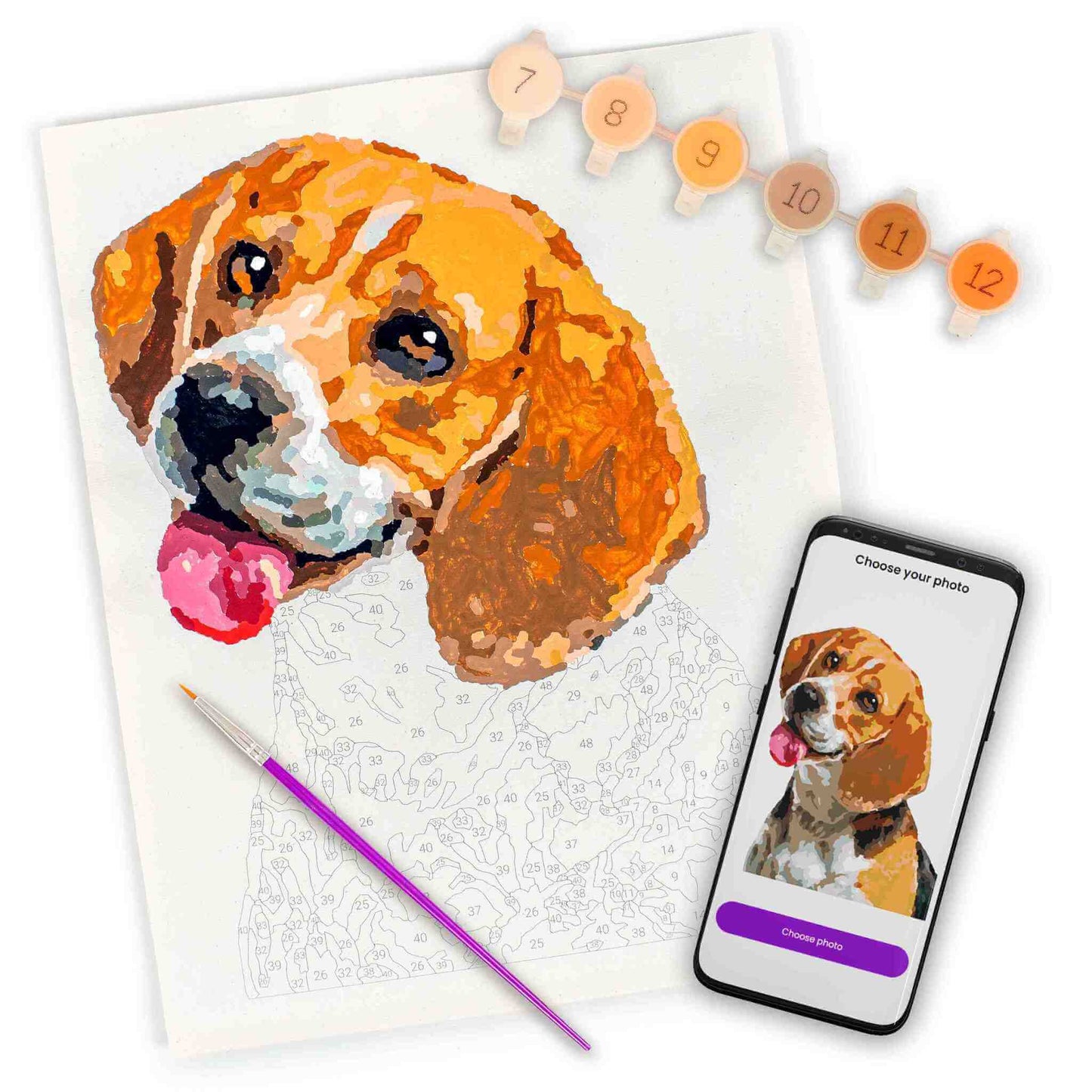 A partially painted custom paint by number canvas of a dog alongside paint pots labeled with numbers 7 through 12. A purple paintbrush rests on the canvas, and a smartphone shows the reference painting preview of the dog with a 'Choose photo' button.