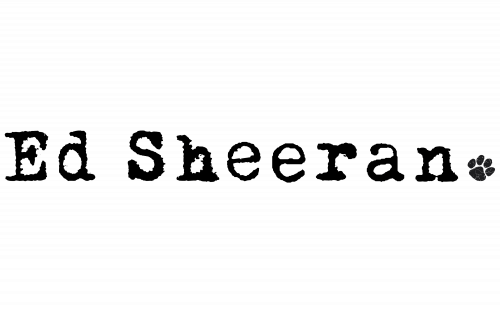 Ed Sheeran logo from a previous Paintable Pictures paint-by-number mural project